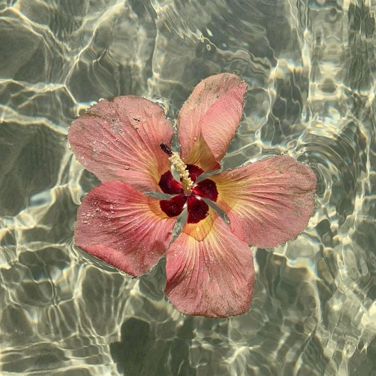 Monalisa Touch Package (3)